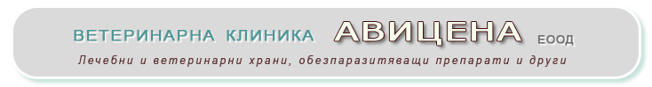 www.avicenavet.wstoki.com